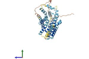 Protein Structure (PS) image for Solute Carrier Family 35, Member F3 (SLC35F3) (AA 1-421) protein (His tag) (ABIN7556997)
