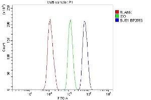 Flow Cytometry analysis of HEPA1-6 cells using anti-Bub1 antibody (ABIN7601640). (BUB1 抗体  (AA 40-257))