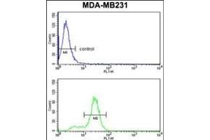 KRT14 Antibody (Center) (ABIN390669 and ABIN2840963) flow cytometry analysis of MDA-M cells (bottom histogram) compared to a negative control cell (top histogram). (KRT14 抗体  (AA 276-303))