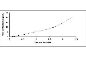 Typical standard curve (ESR2 ELISA 试剂盒)