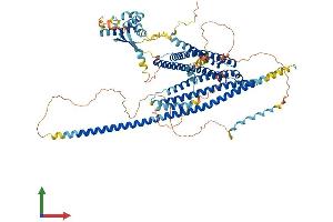 Protein Structure (PS) image for WAS Protein Homolog Associated with Actin, Golgi Membranes and Microtubules (WHAMM) (AA 1-809) protein (His tag) (ABIN7556003)