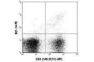 Flow Cytometry (FACS) image for anti-V alpha 8.3 TCR antibody (PE) (ABIN2663911) (V alpha 8.3 TCR 抗体 (PE))