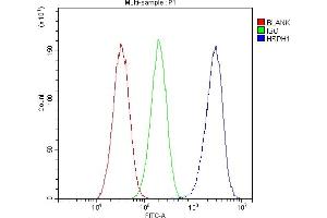 Flow Cytometry analysis of HepG2 cells using anti-Hsp105 antibody (ABIN5693036). (HSPH1 抗体  (AA 653-858))