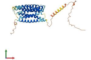 Protein Structure (PS) image for G Protein-Coupled Receptor, Family C, Group 5, Member D (GPRC5D) (AA 1-345) protein (His tag) (ABIN7548094)