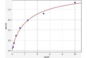 ELISA image for Signal Transducer and Activator of Transcription 1, 91kDa (STAT1) ELISA Kit (ABIN6970211)