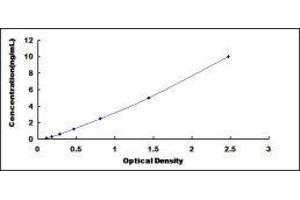 Coactosin-Like Protein ELISA Kit