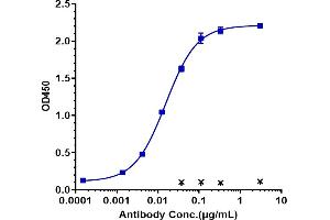 Immobilized human Axl FC at 2 μg/mL can bind Anti-AXL / UFO Reference Antibody (tilvestamab), EC50=0.