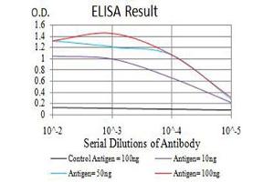 Black line: Control Antigen (100 ng),Purple line: Antigen (10 ng), Blue line: Antigen (50 ng), Red line:Antigen (100 ng) (ATG7 抗体  (AA 558-703))