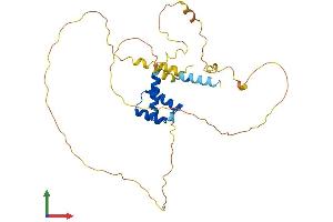 AlphaFold protein structure predicition of Mouse Recombinant Otp Protein, UniprotID O09113
