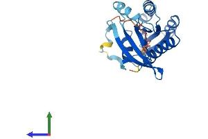 Protein Structure (PS) image for RAB39A, Member RAS Oncogene Family (RAB39A) (AA 1-217) protein (His tag) (ABIN7551178)