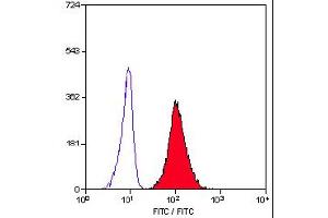 Staining of human peripheral blood granulocytes with Mouse anti Human CD11b (ABIN118516). (CD11b 抗体)