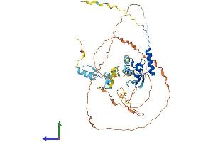 Protein Structure (PS) image for Zinc Finger and BTB Domain Containing 9 (ZBTB9) (AA 1-473) protein (His tag) (ABIN7545227)