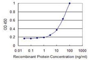 Detection limit for recombinant GST tagged FERMT2 is 1 ng/ml as a capture antibody. (FERMT2 抗体  (AA 1-680))