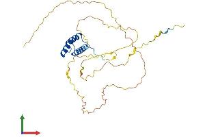 Protein Structure (PS) image for Distal-Less Homeobox 3 (DLX3) (AA 1-287) protein (His tag) (ABIN7557815)