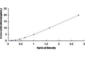 Typical standard curve (MYH4 ELISA 试剂盒)