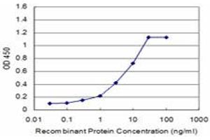 Detection limit for recombinant GST tagged CSRP1 is approximately 0. (CSRP1 抗体  (AA 94-192))