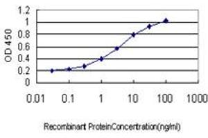 Detection limit for recombinant GST tagged TEK is approximately 0. (TEK 抗体  (AA 701-800))