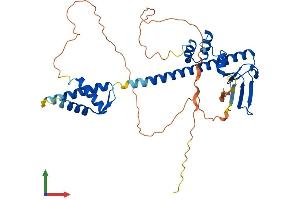 Protein Structure (PS) image for Transcription Factor Dp-1 (TFDP1) (AA 1-410) protein (His tag) (ABIN7544279)