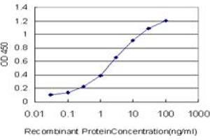 Detection limit for recombinant GST tagged DDX3Y is approximately 0. (DDX3Y 抗体  (AA 1-80))