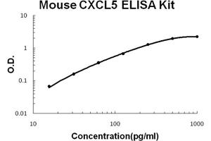 Mouse CXCL5/ENA-78 Accusignal ELISA Kit Mouse CXCL5/ENA-78 AccuSignal ELISA Kit standard  curve.
