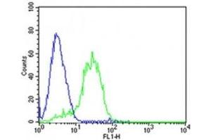 Flow cytometric analysis of HepG2 cells using DLK1 antibody (green) compared to an isotype control(blue). (DLK1 抗体  (C-Term))