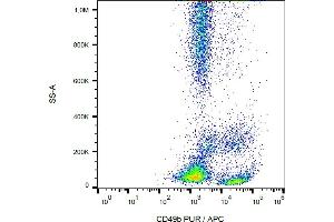 Flow cytometry analysis (surface staining) of CD49b in human peripheral blood with anti-CD49b (AK7) purified / GAM-APC. (ITGA2 抗体)