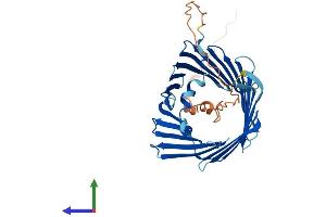Protein Structure (PS) image for Translocase of Outer Mitochondrial Membrane 40 Homolog (TOMM40) (AA 1-361) protein (His tag) (ABIN7544615)