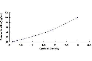 Typical standard curve (Dystroglycan ELISA 试剂盒)