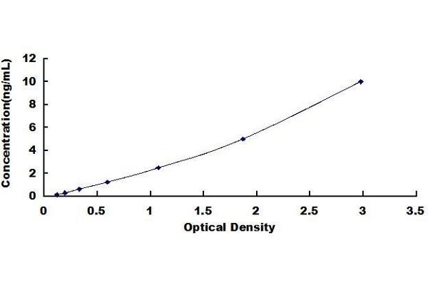 Dystroglycan ELISA 试剂盒