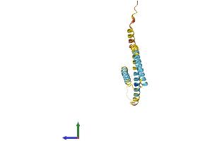 Protein Structure (PS) image for BCL2-Interacting Killer (Apoptosis-Inducing) (BIK) (AA 1-160) protein (His tag) (ABIN7552808)