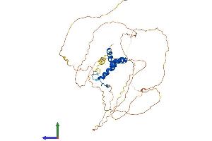 Protein Structure (PS) image for SRY (Sex Determining Region Y)-Box 4 (SOX4) (AA 1-474) protein (His tag) (ABIN7546148)