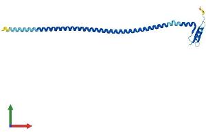 Protein Structure (PS) image for SPC24, NDC80 Kinetochore Complex Component, Homolog (SPC24) (AA 1-201) protein (His tag) (ABIN7560819)