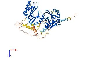 THUMPD3 Protein (AA 1-505) (His tag)
