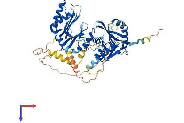 THUMPD3 Protein (AA 1-505) (His tag)