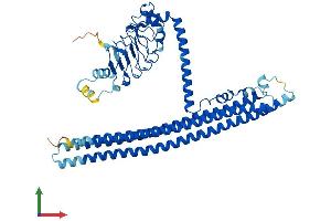 Protein Structure (PS) image for EPS8-Like 1 (EPS8L1) (AA 1-523) protein (His tag) (ABIN7547146)