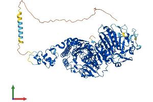 AlphaFold protein structure predicition of Mouse Recombinant Enpp1 Protein, UniprotID P06802