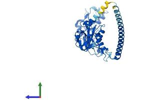 AlphaFold protein structure predicition of Mouse Recombinant Rnf41 Protein, UniprotID Q8BH75