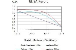 Black line: Control Antigen (100 ng),Purple line: Antigen (10 ng), Blue line: Antigen (50 ng), Red line:Antigen (100 ng) (ULBP2 抗体  (AA 26-216))