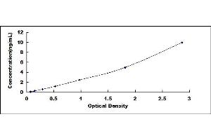 Typical standard curve (CXCL16 ELISA 试剂盒)