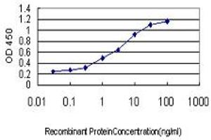 Detection limit for recombinant GST tagged PITX2 is approximately 0. (PITX2 抗体  (AA 1-324))