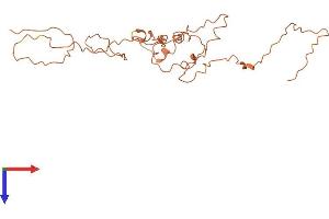 AlphaFold protein structure predicition of Human Recombinant KRTAP10-12 Protein, UniprotID P60413