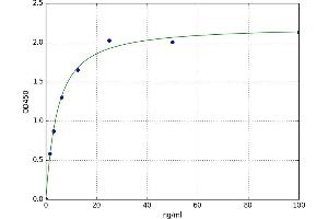 A typical standard curve (CA2 ELISA 试剂盒)