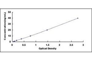 Typical standard curve (O3FAR1 ELISA 试剂盒)