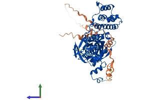 AlphaFold protein structure predicition of Mouse Recombinant Btbd3 Protein, UniprotID P58545