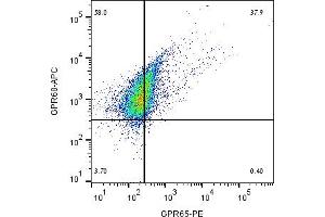 Multicolor flow cytometry with GPR65 and GPR68Human  monocytic leukemia cell line was labeled by adding Anti-GPR65 (TDAG8) (extracellular)-PE Antibody (ABIN7043169, ABIN7045545, ABIN7045546 and ABIN7045547), (5 μg) and Anti-GPR68 (OGR1) (extracellular)-APC Antibody (ABIN7582036), (5 μg).