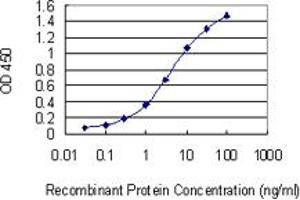 Detection limit for recombinant GST tagged RNF186 is 0. (RNF186 抗体  (AA 75-150))