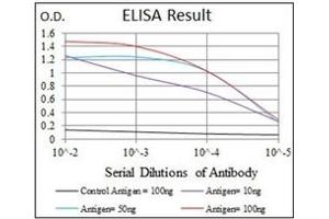 ELISA image for anti-delta-Like 4 (DLL4) antibody (ABIN1106965)
