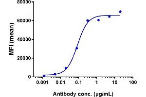 Human CD19 HEK293 cells were stained with Anti-CD19 Reference Antibody (tafasitamab) and negative control protein respectively, washed and then followed by PE and analyzed with FACS, EC50=0.