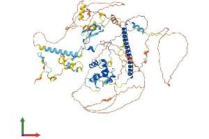AlphaFold protein structure predicition of Human Recombinant EPC1 Protein, UniprotID Q9H2F5