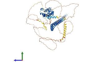AlphaFold protein structure predicition of Human Recombinant TRAF3IP1 Protein, UniprotID Q8TDR0